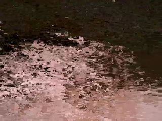 EnglishRose7