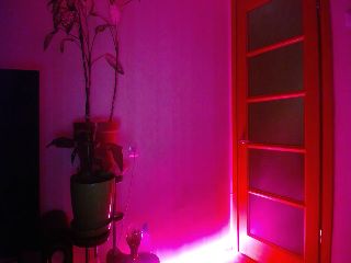 Alexa_Floret