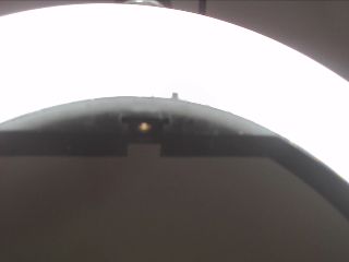 Nicolettefoxs