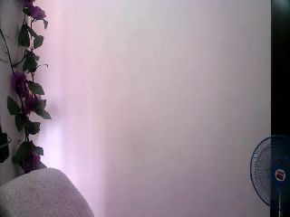 Alice_222