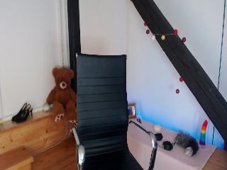 Foxie_cristie